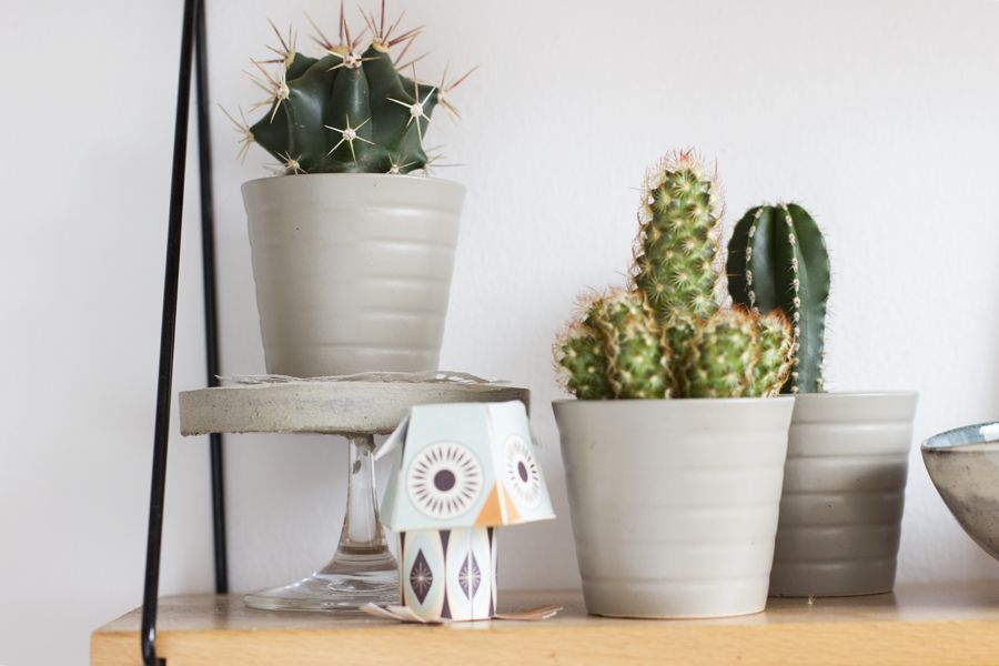 tea-shelf-decoration-cactus-stand