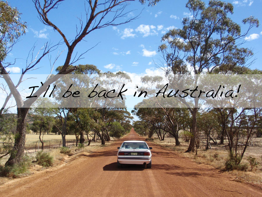 Vacation planned: 7 weeks roadtrip in Australia