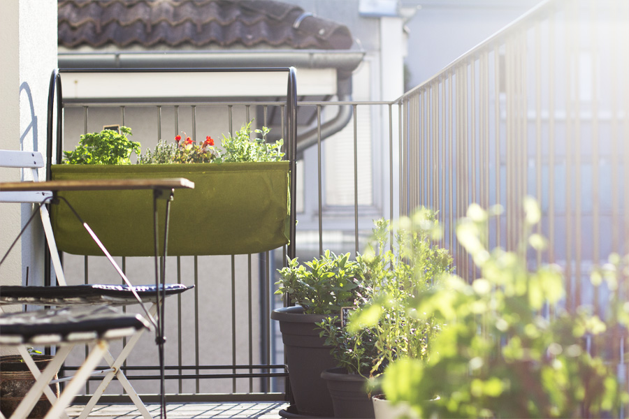 Grow your own herb garden on the balcony | LOOK WHAT I MADE ...