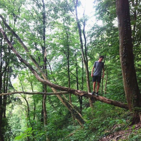 it's so hot i tried to escape into the woods with my brother. didn't help against the heat. i try the lake now. #woods #wanderlust #forest #igersviennaontour #igersaustria #neverstopexploring