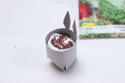 Cress bunny. | LOOK WHAT I MADE ...