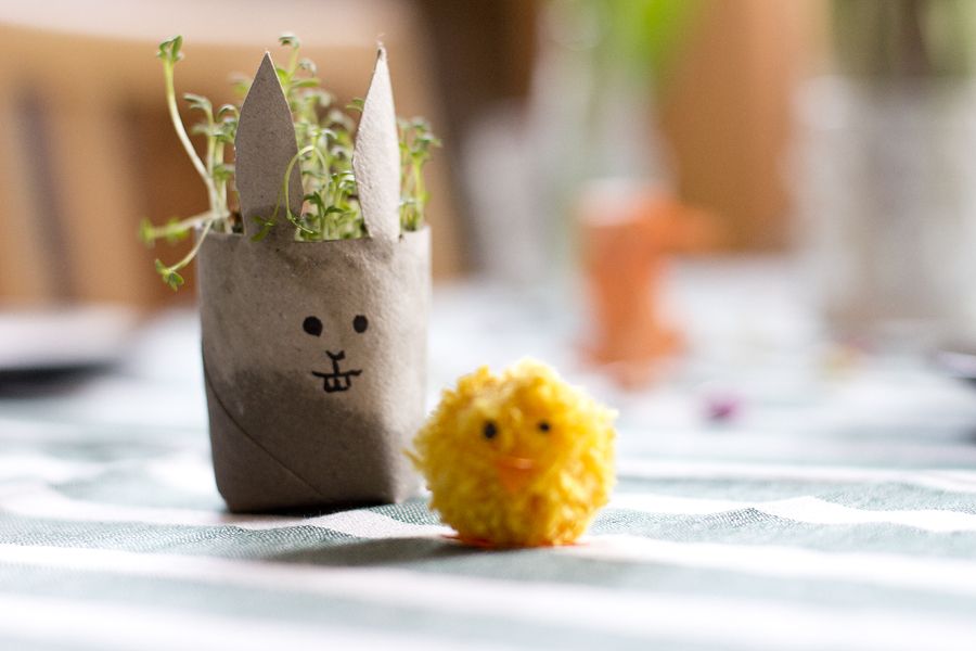 Cress bunny DIY out of an old toilet paper roll | LOOK WHAT I MADE ...