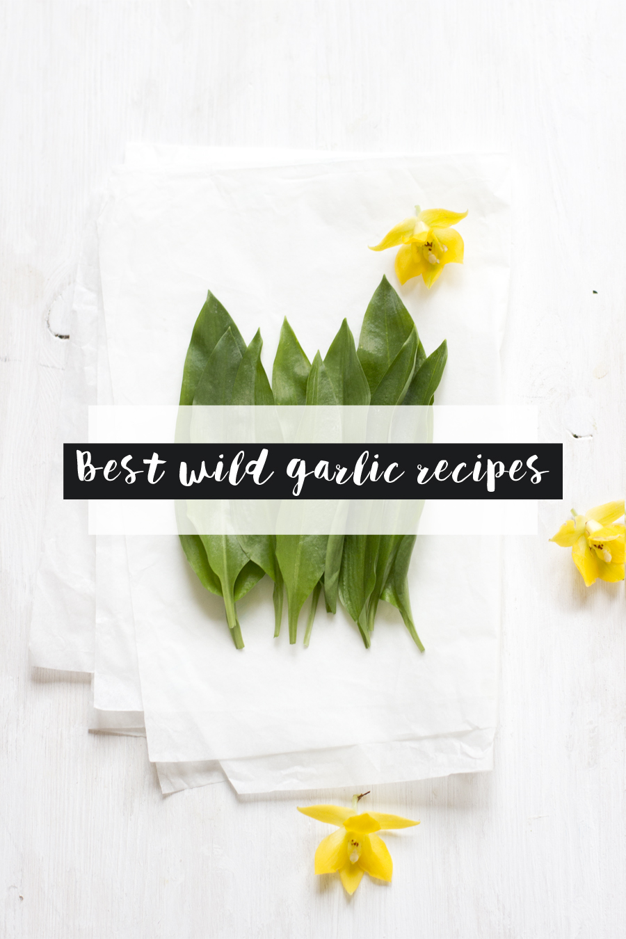 Best wild garlic recipes | LOOK WHAT I MADE ...