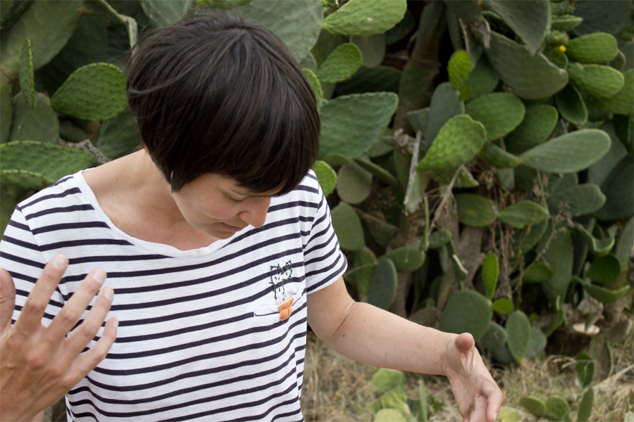 DIY cactus embroidered T-shirt | LOOK WHAT I MADE ...