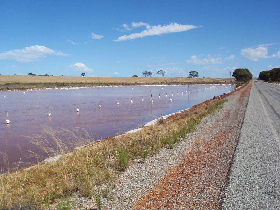 Vacation planned: 7 weeks roadtrip in Australia