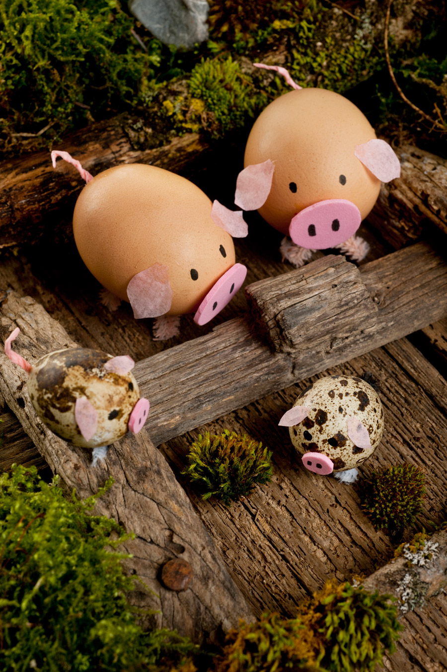 cute pigs out of egg shells diy