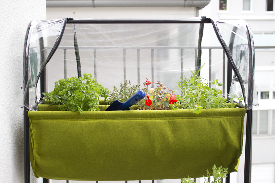 Grow your own herb garden on the balcony | LOOK WHAT I MADE ...