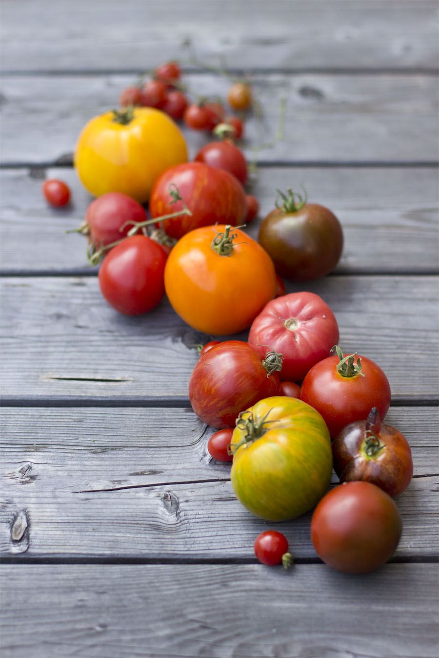 Heirloom tomato variety | LOOK WHAT I MADE ...