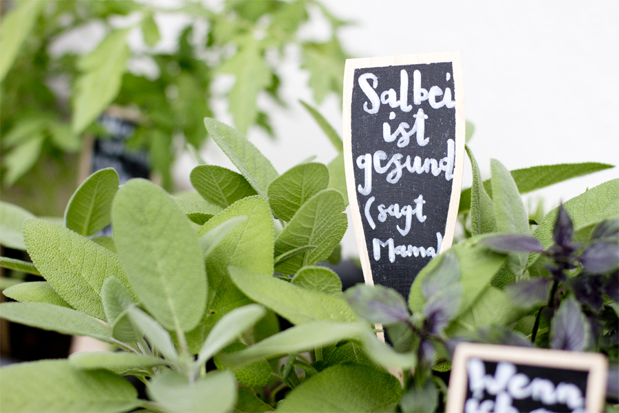 Wooden herb labels | LOOK WHAT I MADE ...