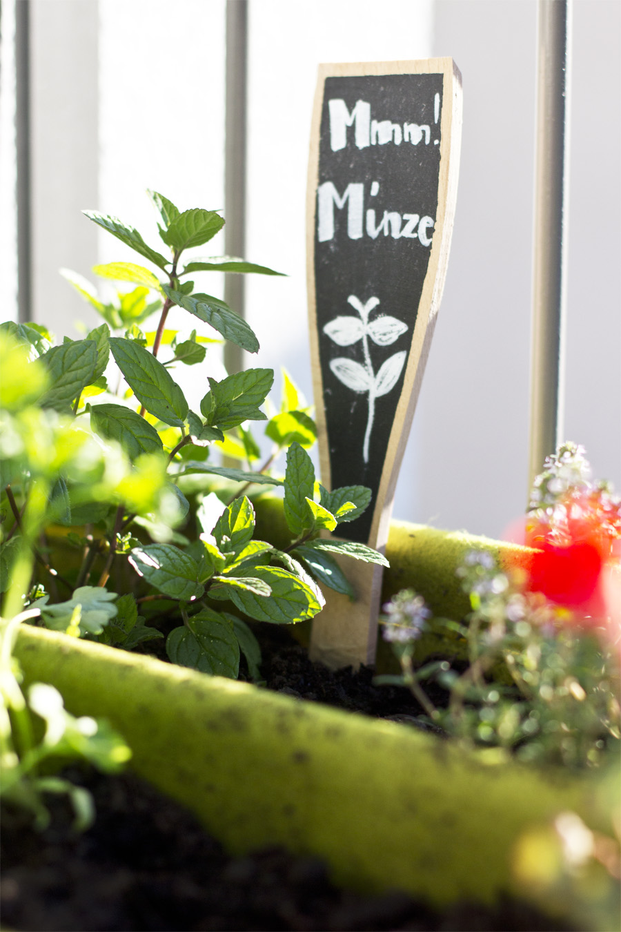 Grow your own herb garden on the balcony | LOOK WHAT I MADE ...
