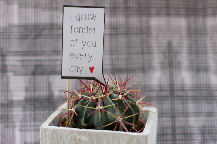 i grow fonder of you every day cactus valentine's day speech bubble