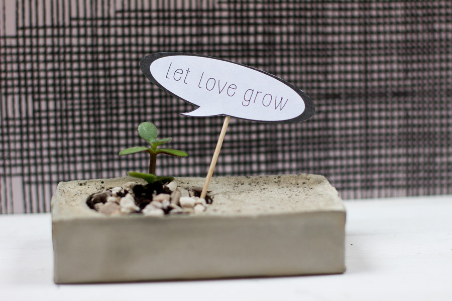 let love grow valentine day plant speech bubble