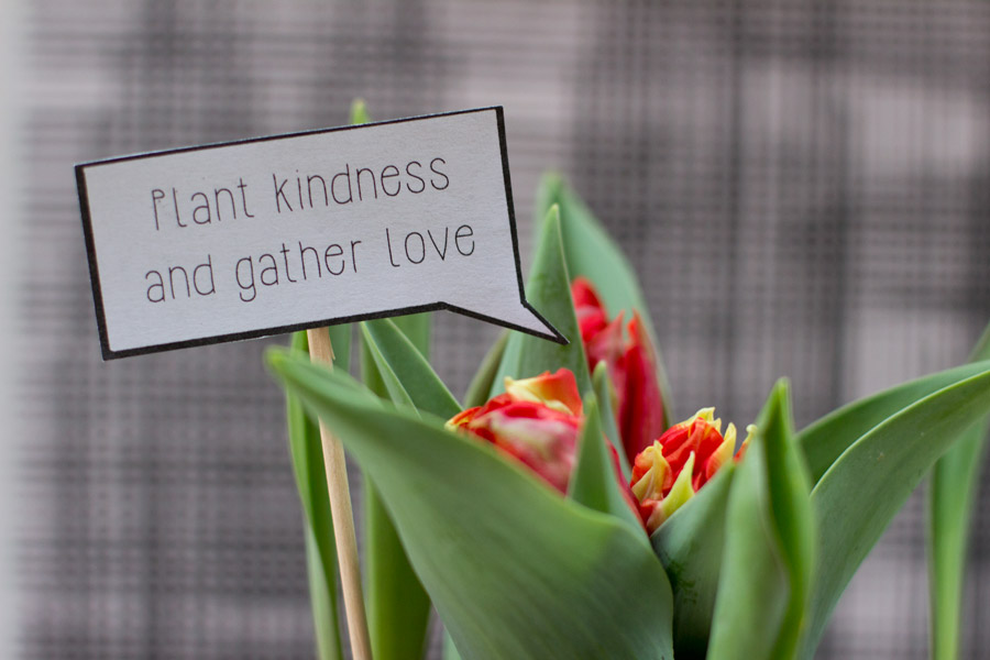 plant-kindness-and-gather-love-valentines-day-plant-speech-bubble