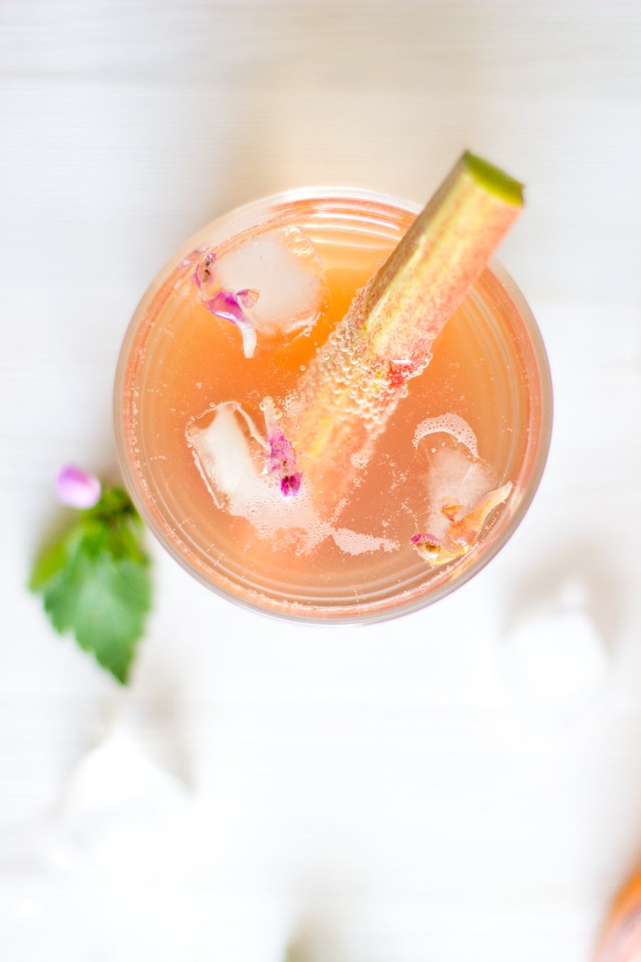 Rhubarb gin fizz cocktail recipe | Enjoy this cool and refreshing  cocktail on hot summer nights. Made in 5 mins and definitely a crowd-pleaser