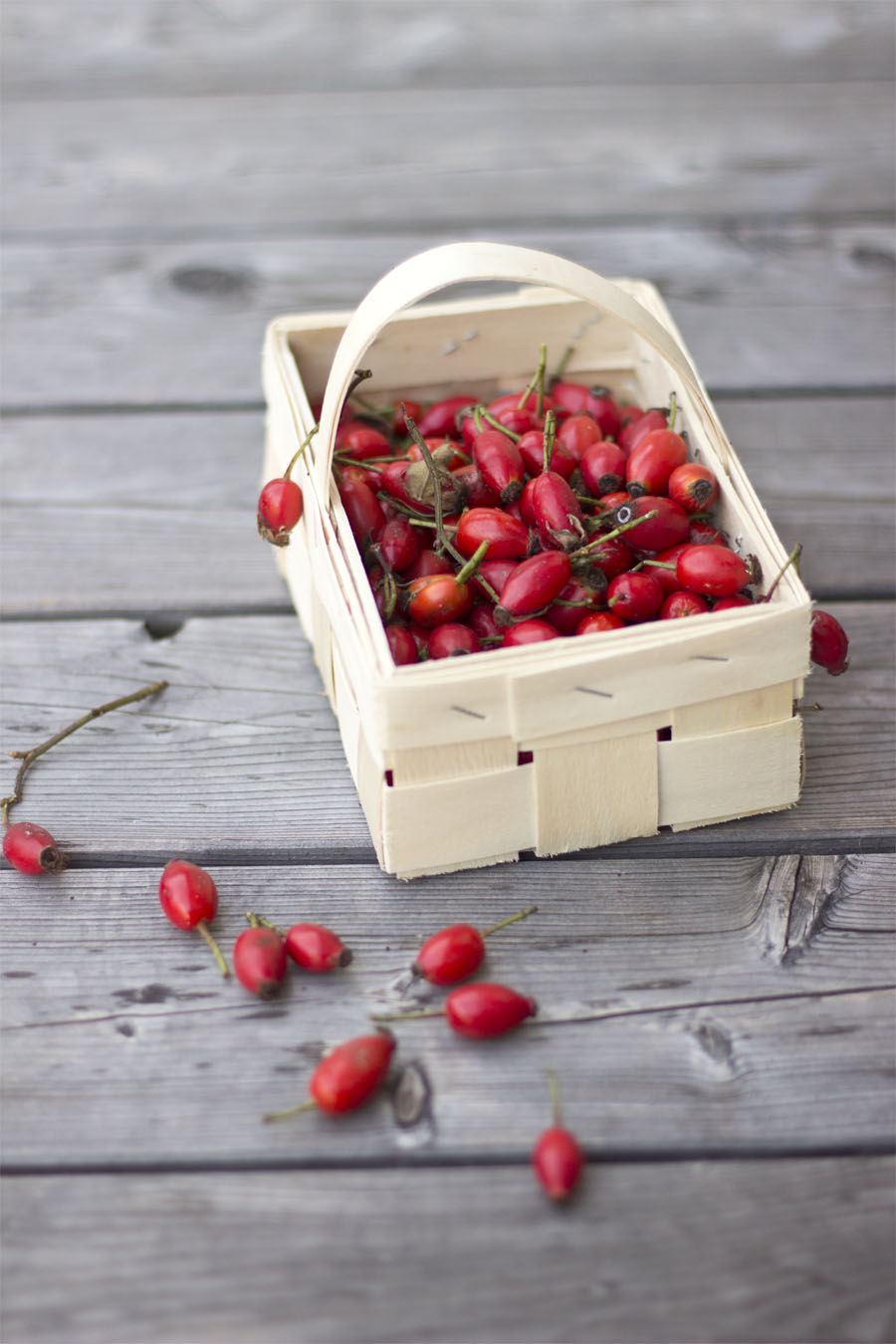 Rose hips in a basket | LOOK WHAT I MADE ...