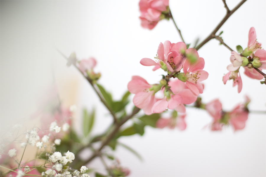 sping-blossoms-details-home-decor