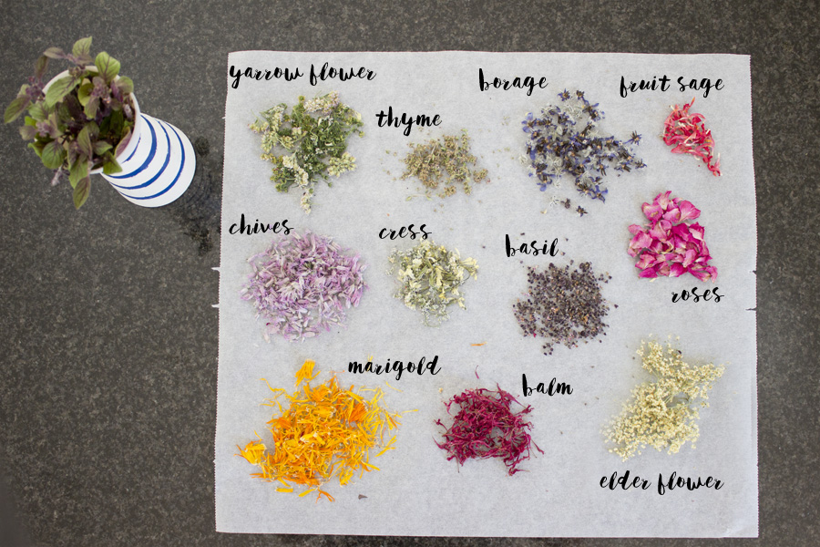 Make your own flower salt - herb selection | LOOK WHAT I MADE ...