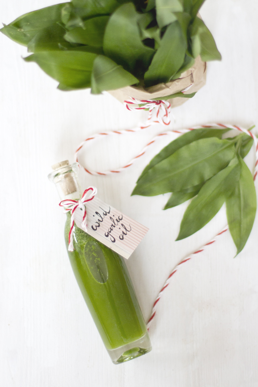 Wild garlic olive oil | LOOK WHAT I MADE ...