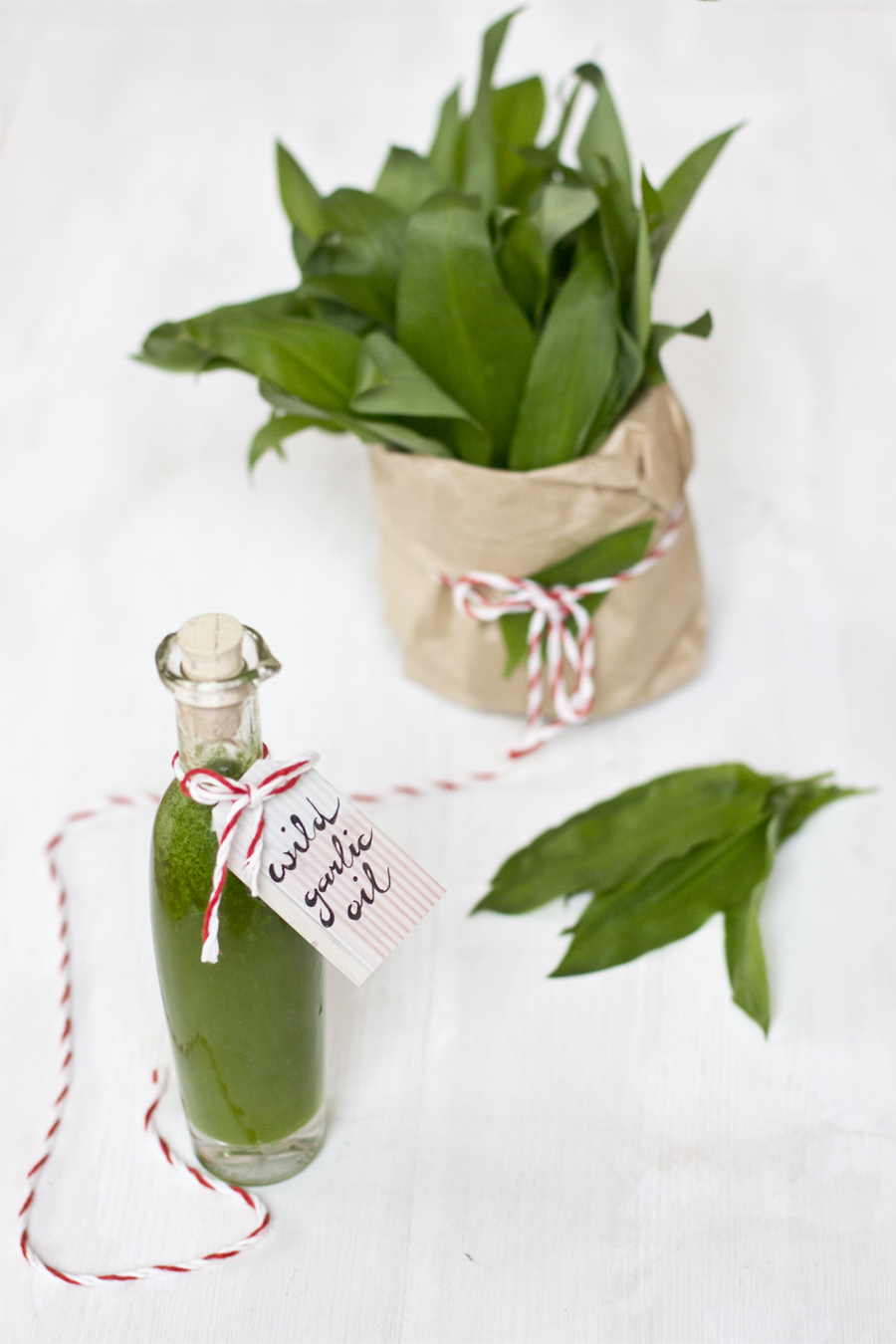 Wild garlic oil | LOOK WHAT I MADE ...