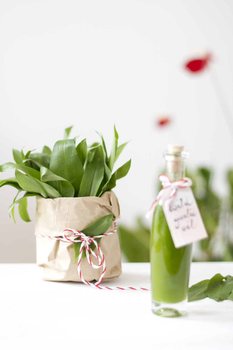 Wild garlic oil | LOOK WHAT I MADE ...